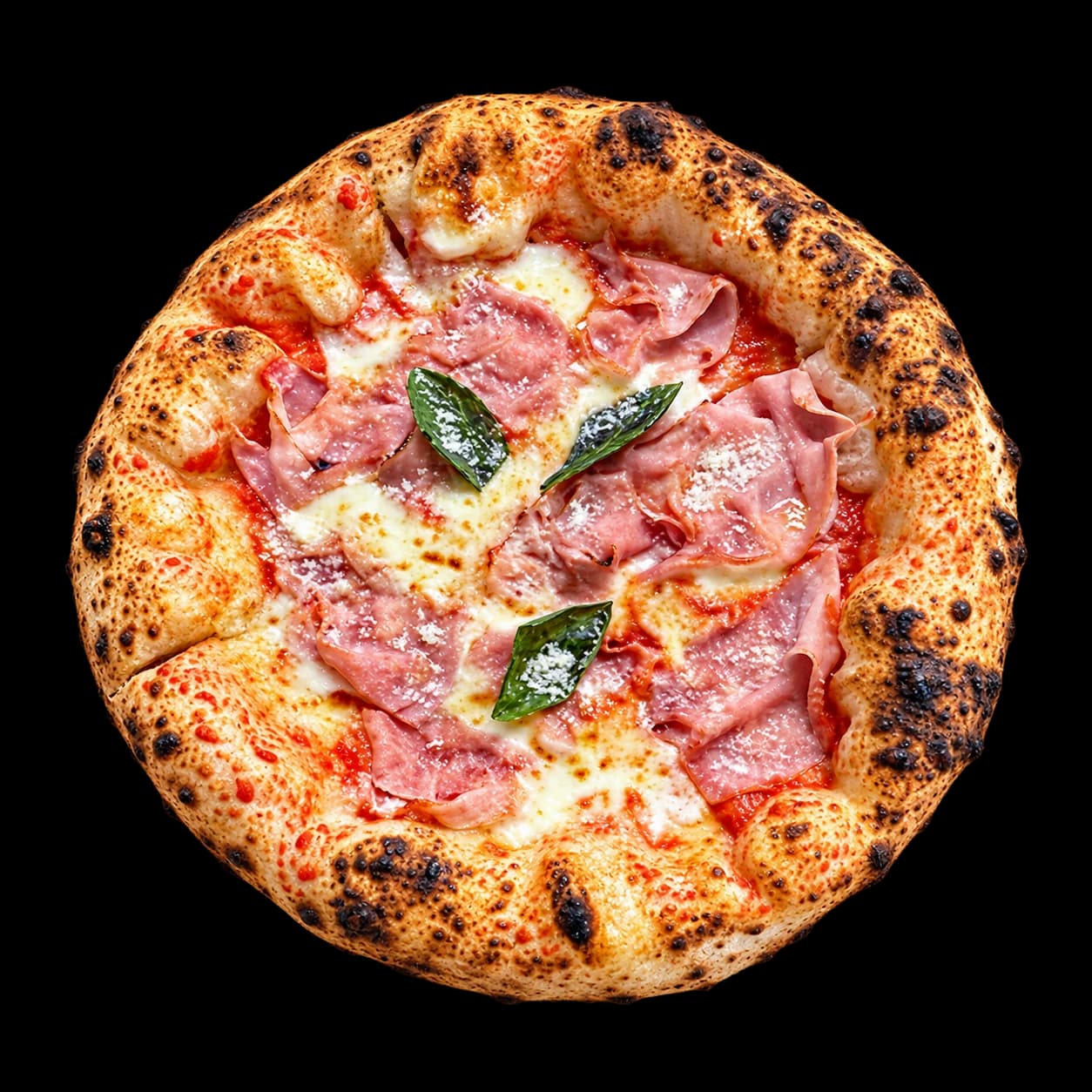 Prosciutto Cotto